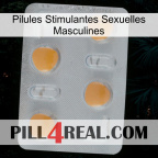 Male Sexual Stimulant Pills 24